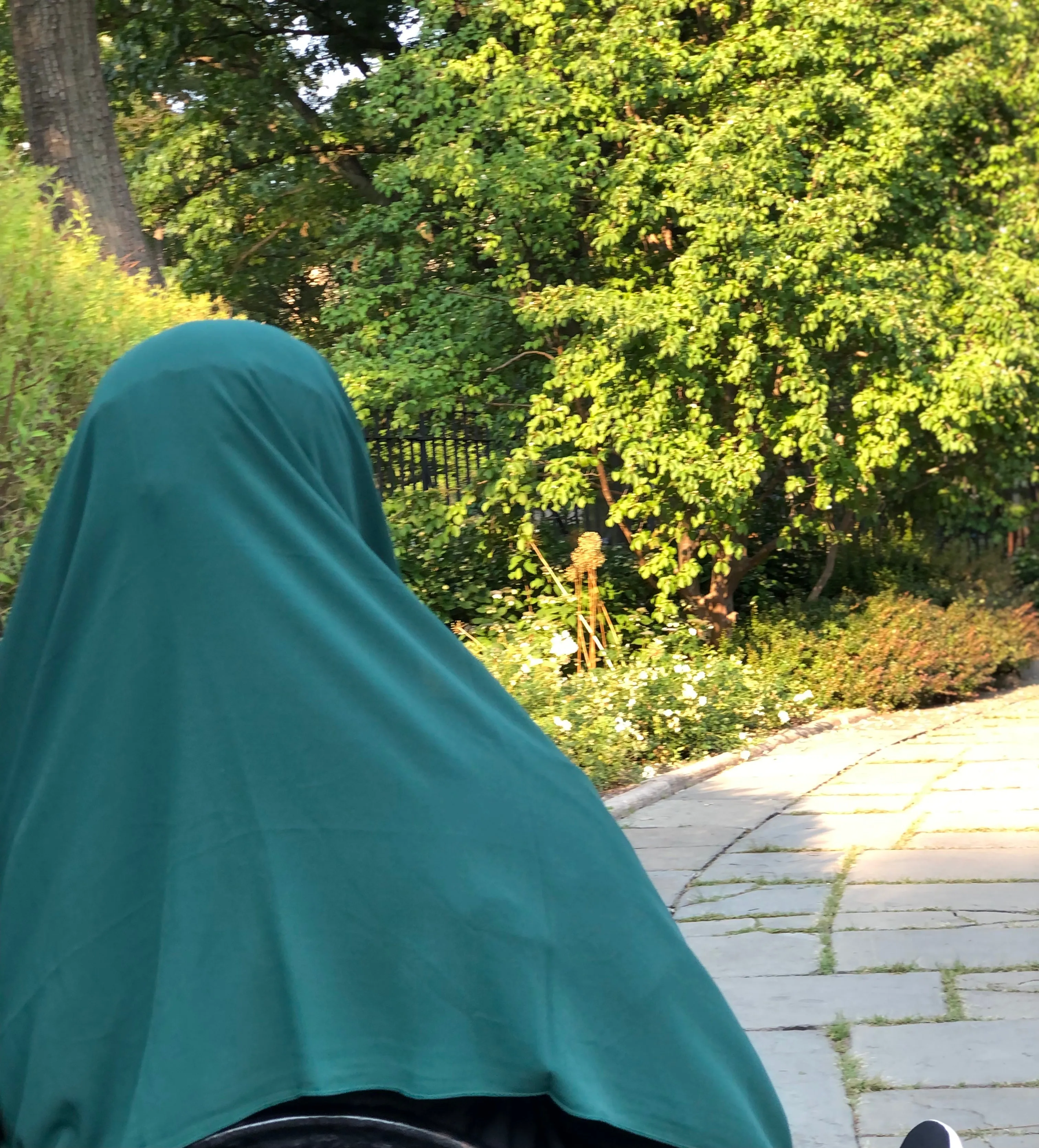 Everyday Chiffon Hijab - Forest Green