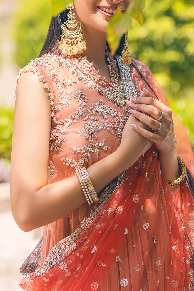 PORCELAIN ROSE | Mushq Monsoon Wedding Luxury Chiffon Collection 2022 |  Unstitched Embroidered Chiffon Suits