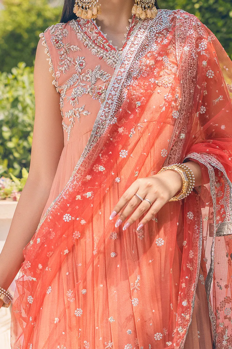 PORCELAIN ROSE | Mushq Monsoon Wedding Luxury Chiffon Collection 2022 |  Unstitched Embroidered Chiffon Suits